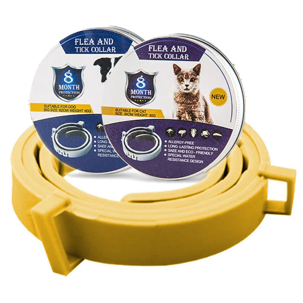 Yellow box package