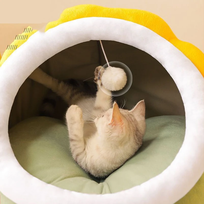 Title 2, Hot cute dinosaur baby cat special cat nest fou...