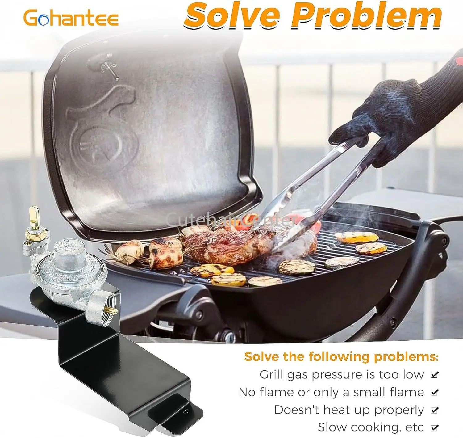 Barbecue Grill Weber 50060001 Q1000 Liquid Propane Grill Camping