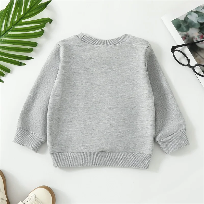 Baby Boys Girls Sweatshirts Fuzzy Shamrock Embroidery Long Sleeve Round Neck Tops Pullovers