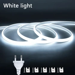 High-Brightness Waterproof Flexible COB LED Strip for Indoor and Outdoor Lighting (White light)
