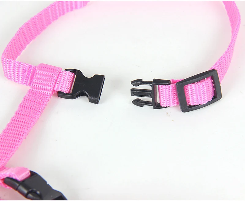 Affordable Sphynx Cat Harness & Leash Set – Lightweight Outdoor Walking Accessories for Cats