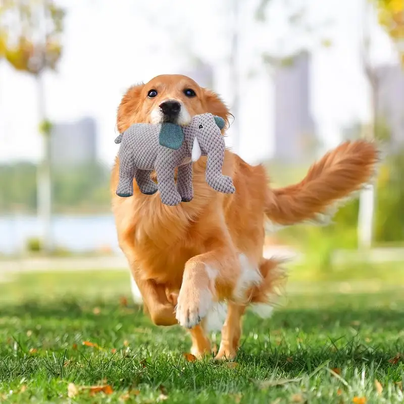 Рисунок 5 - Жевательная игрушка для собак