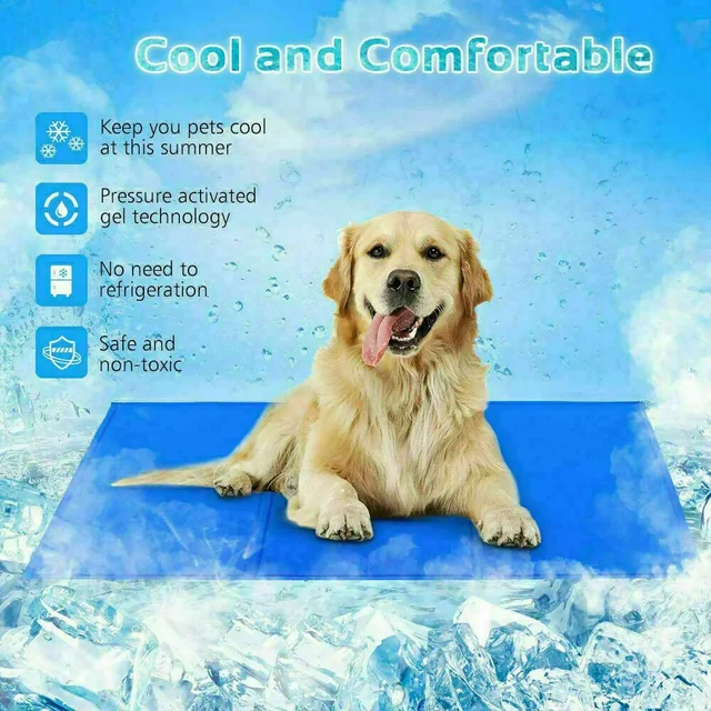 Stay Cool this Summer with the Dog Cool Mat Summer Mat for Cat