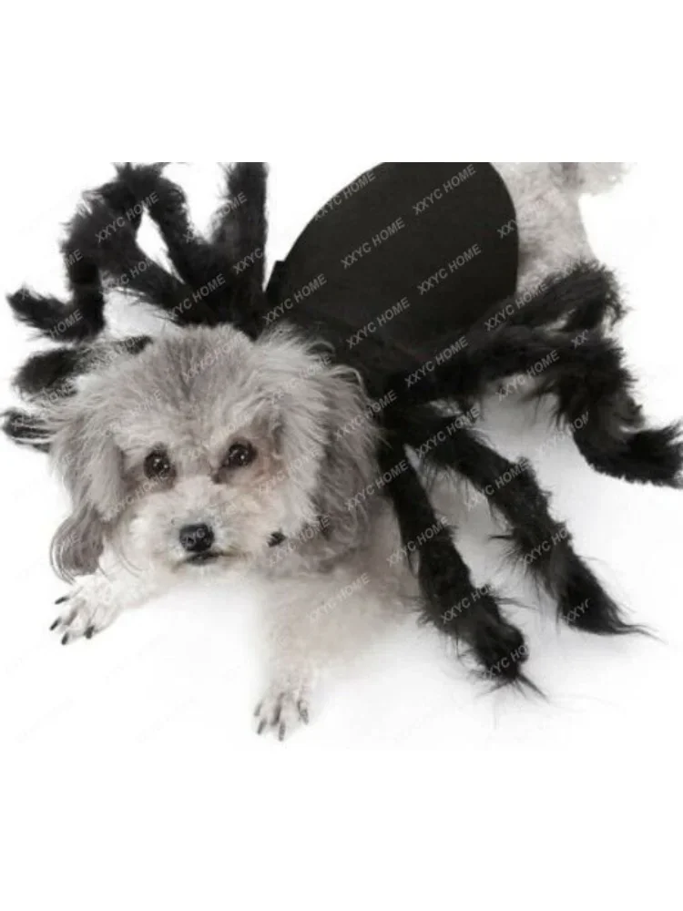 Spider Halloween Pet Costume 2