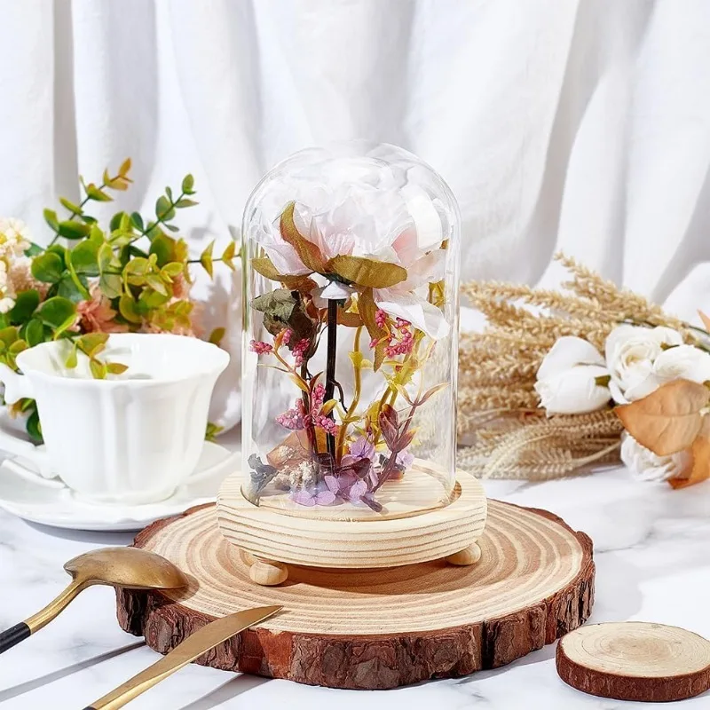 Glass Dome with Base Glass Cloche Bell Jar 1pcs Display Plants Rose Flower Display Clay Succulents Storage Home Christmas Party