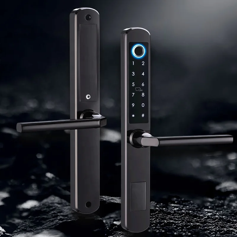 IP66 알루미늄 안뜰 슬라이딩 유리 도어 스마트 잠금 Tt 잠금 App 핸들 키패드 지문 Rfid 전자 디지털 잠금