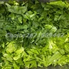 Multifunction Vegetable and Fruit Washing Machine 300kg/H Potato Apple Cleaning Machines Potato and Carrot Washing Machine 6