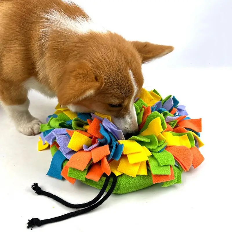 Interactive Dog Snuffle Mat Foraging Toy