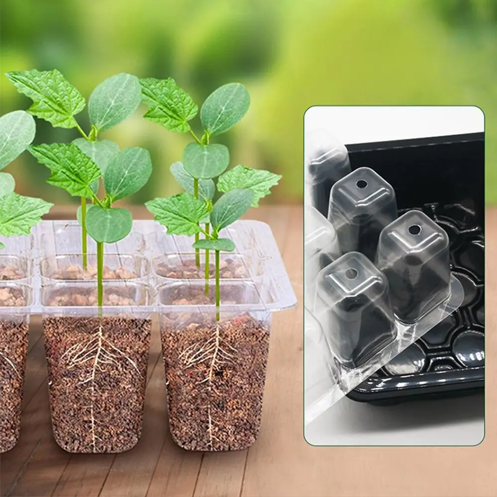 6/12Grids Seed Starter Tray Ventilation Hole Seeds Growing Cultivation Planting Box Mini Greenhouse Plant Starter Kit