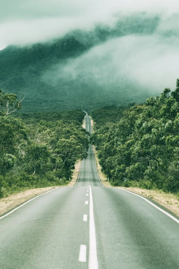 thumbnail image 1 of Fondo de fotografía de retrato para niños y adultos con carretera de Laeacco, camino sinuoso sin fin, paisaje natural, campo, árbol frondoso, 1 of 5