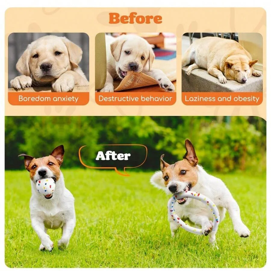 Bite Resistant Solid Dog Ball Toys for Small Dogs High Elasticity E-TPU Pet Chew Ball Toy Non Squeak Interactive Puppy Toy 2