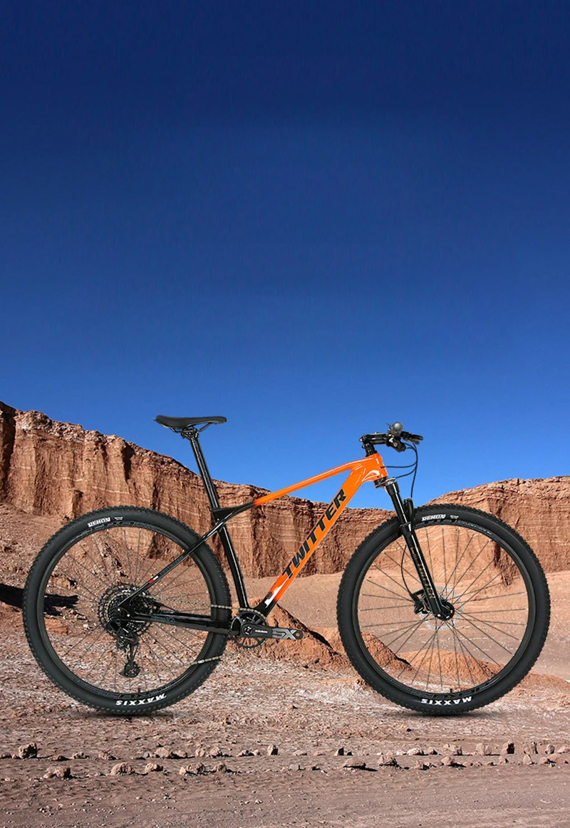 Carbon Mountain Bikes PREDATOR 29er SRAM SX-12S XC