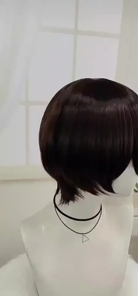 Косплей Yinglan High School University Changlu Courtyard Xin Guangxu Wang Huan Chunqi Cos Wig