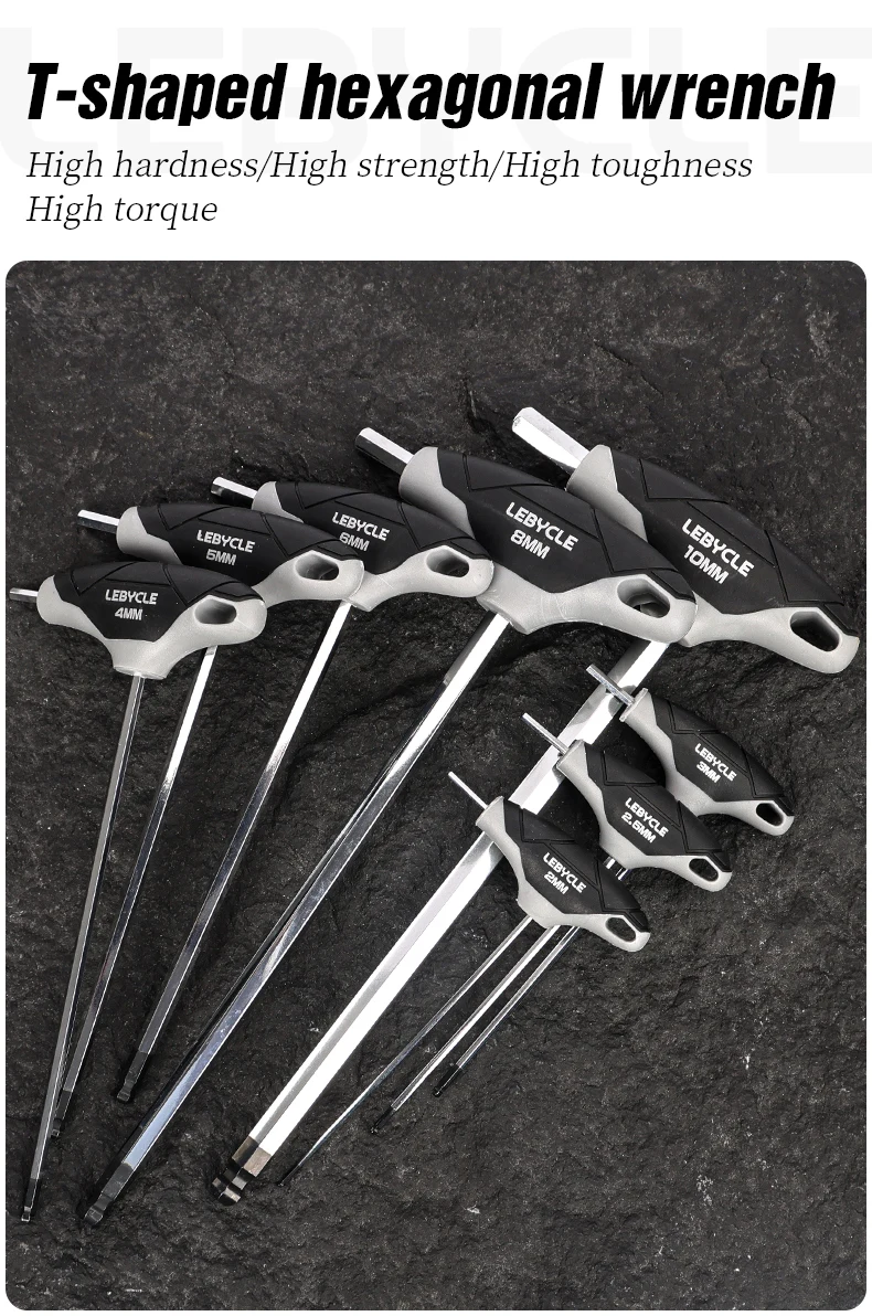 LEBYCLE Sechskantschlüssel-Set mit Schnelladapter 2 in 1, 2, 2,5, 3, 4, 5, 6, 8, 10mm, Universal-Kugelkopf und Flachkopf, Chrom-Vanadium-Stahl – Detail 1
