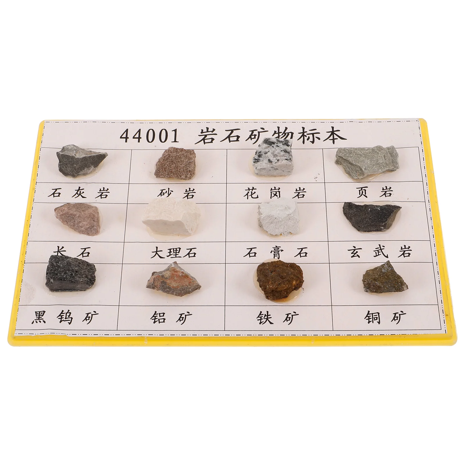 

12 Pcs The Rock Specimen Set Biological Experiment Specimens for Primary and Secondary Schools