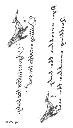 Image 33