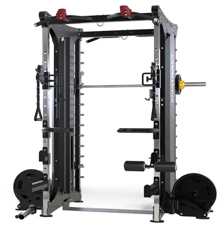 Attrezzatura Per Il Fitness Commerciale Attrezzatura Per La Forza Longmen Frame Gym Smith Machine Small Bird Trainer Completo