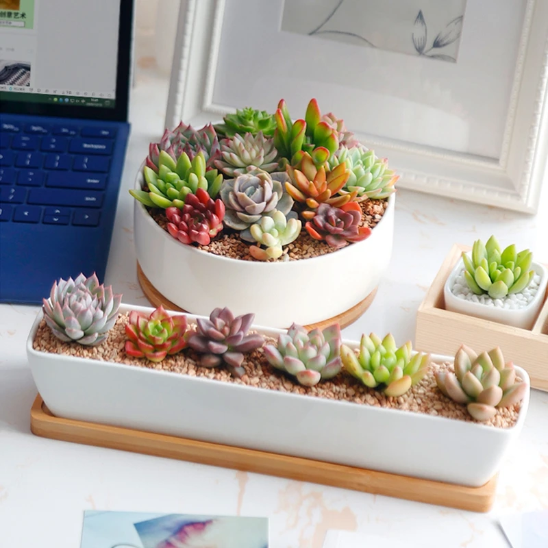 Slide image ae984efd7f034125b95cd8a1a467362a