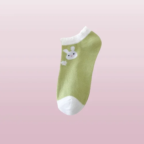 Рисунок 5 - Женские весенне-летние носки 5/10 пар