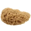 Tool Greek Natural Sponge Baby Bath Scrubber for Body Sea Sponges Bathing Shower 1