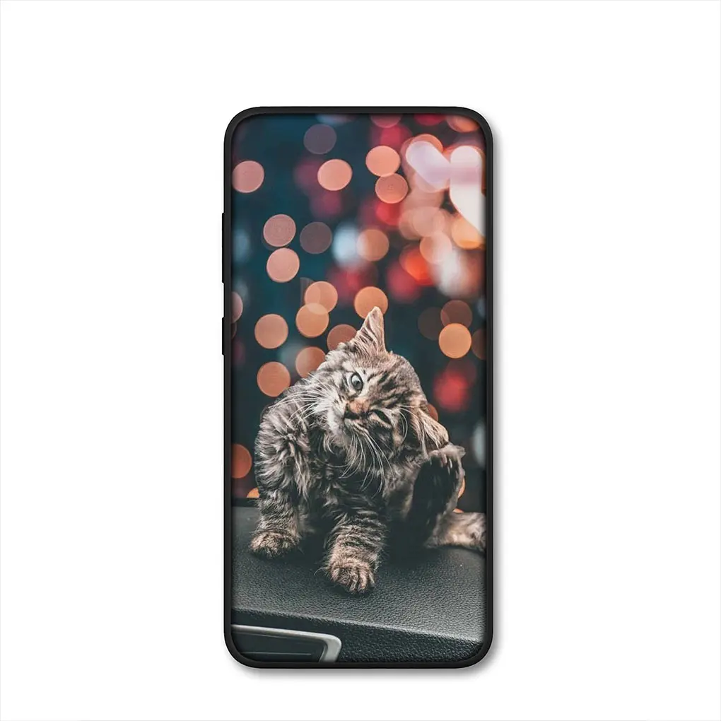 Adorable Kitten Cat Phone Case