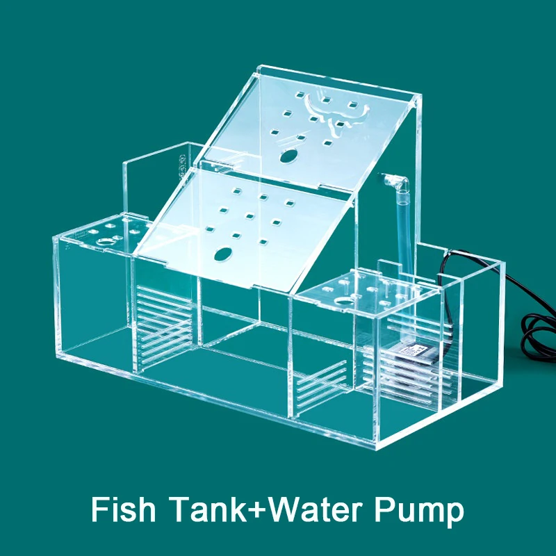 Ecological-fish-tank-Special-isolation-box-for-breeding-and-hatching-of-malachite-Circulating-water-filtration-Creative.jpg