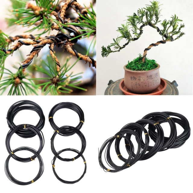 5/10M Bonsai Wire Plant Support Anodized Aluminum Bonsai Training Wire For  Plant Shape Garden Accessories 1/1.5/2/2.5/3mm 5 Szie - AliExpress