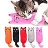 Rustle Sound Catnip Toy Cats Products for Pets Cute Cat Toys for Kitten Teeth Grinding Cat Plush Thumb Pillow Pet Accessories 1