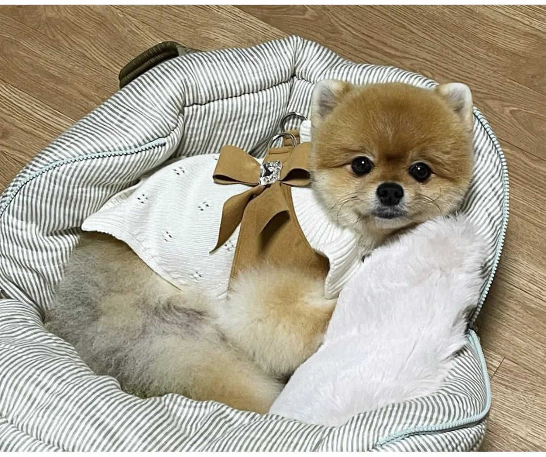 微信图片_20221115233839.jpg