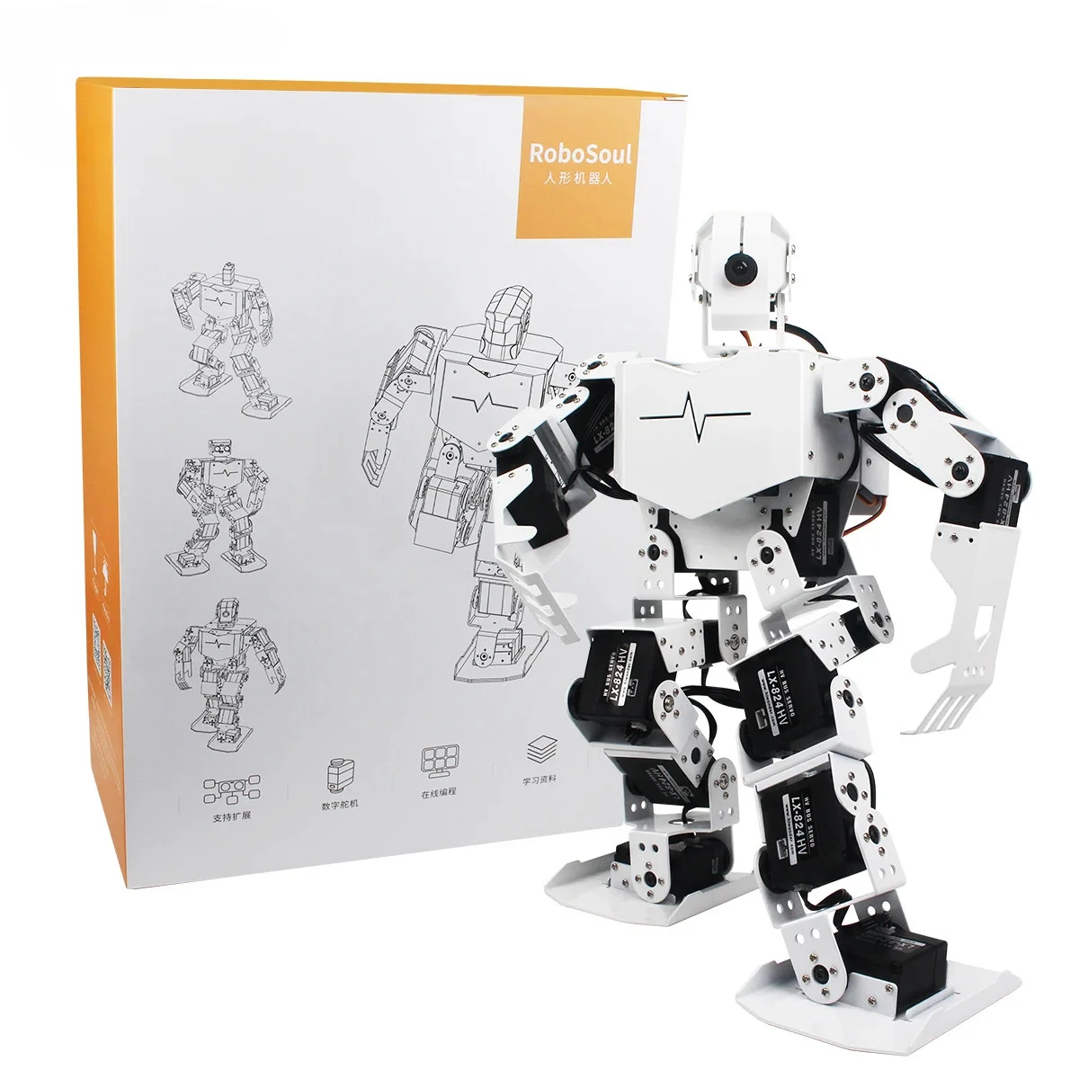Hiwonder TonyPi Raspberry Pi AI Visual Intelliogent Programming Robotics with Wholesale Price