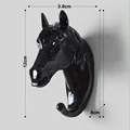 Horse-black