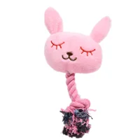 Pet Plush Toys Molar Teeth Bite-resistant Cat Toy Teddy Bichon Puppy Training Interactive Dog Supplies Dog Chew Toys 2
