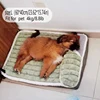 Cross-Border New Arrival Sleeping Dog Mat Winter Warm Removable Washable Kennel Mattress Pet Supplies Large Dog Dog Bed