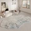 Luxury Retro Carpets for Living Room Irregular Shape Bedroom Decor Soft Carpet Modern Art Cloakroom Rug Thickened Anti-slip Mat 4