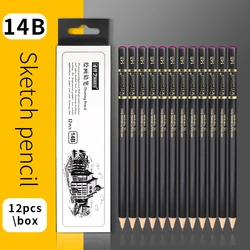 Premium 12-Piece Professional Sketching Pencil Set (14B)