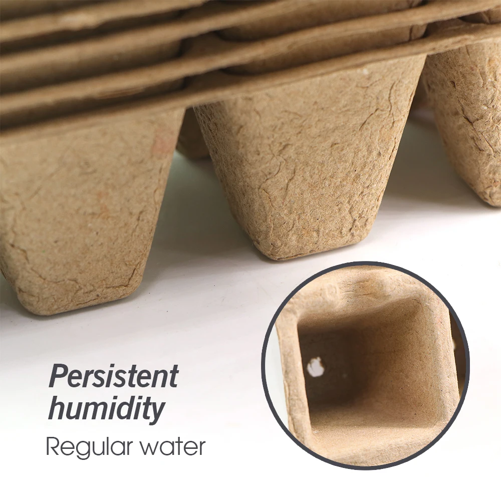 10Hole/12Hole Biodegradable Seedlings Box for Seed Germinate