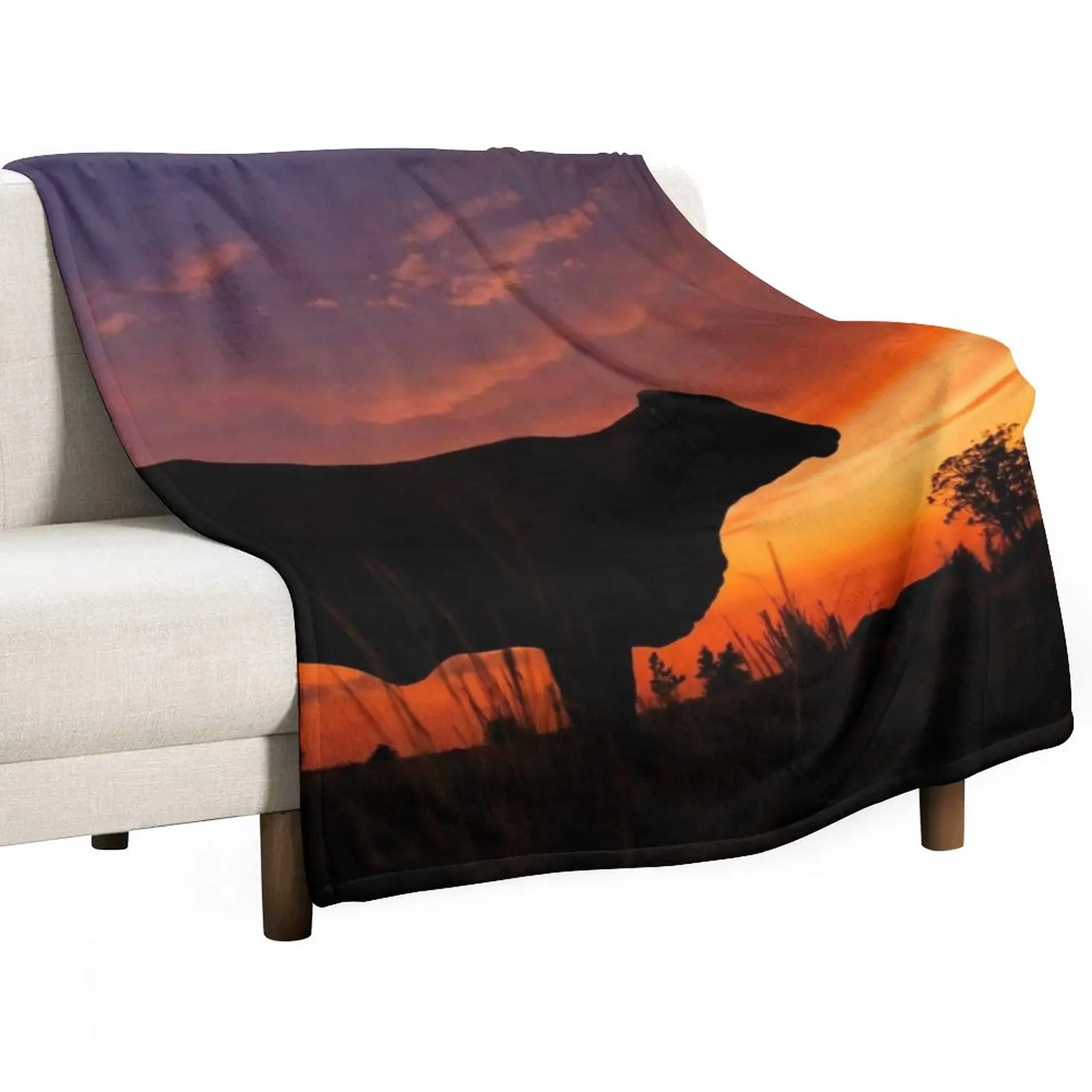 

Droughtmaster Sky Throw Blanket Plaid on the sofa Bed covers sofa bed Fashion Sofa Blankets