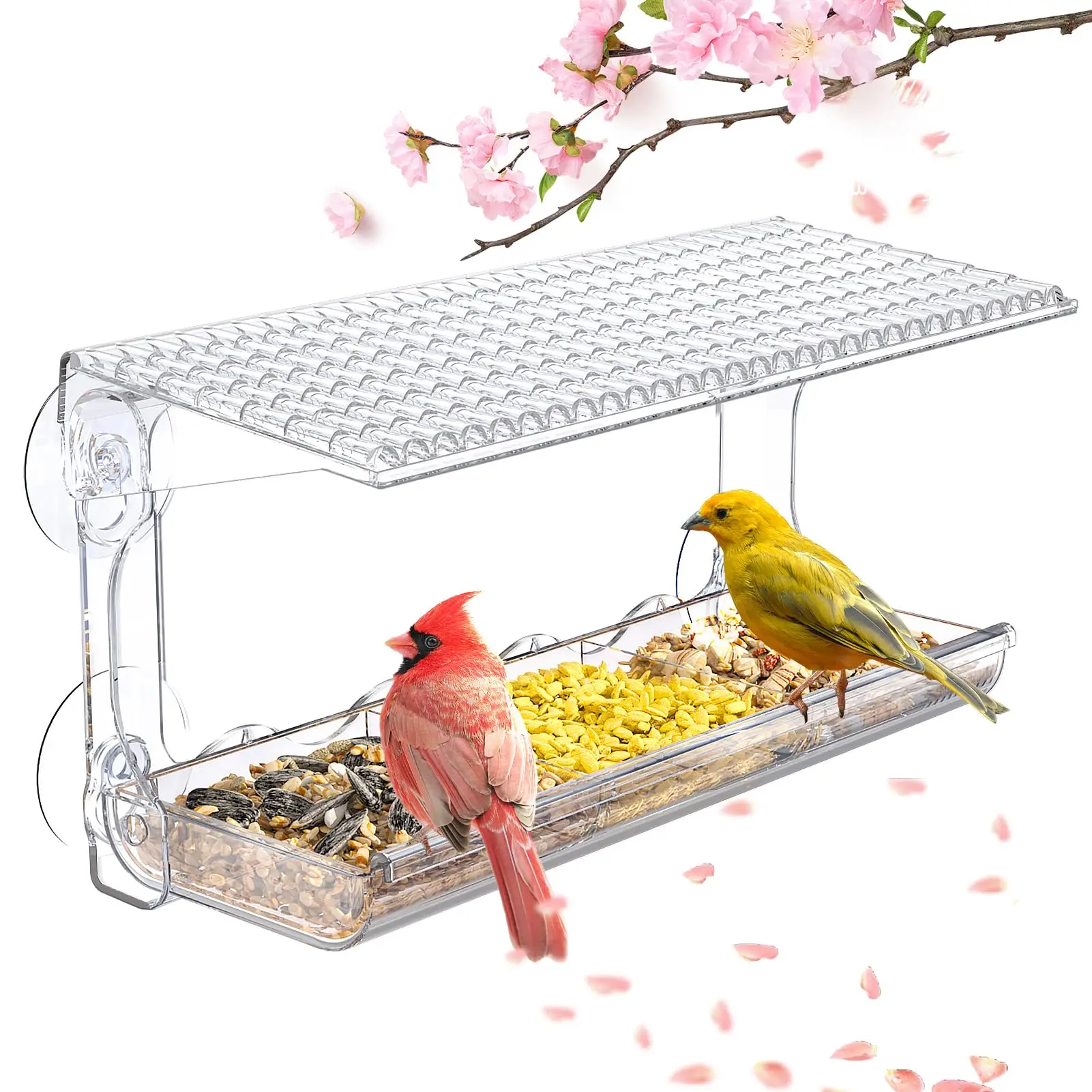 Window Viewing Bird Feeder for Outdoors Clear Bird Feeders Window Mounted with Suction Cups Transparent House Outside Wild bird feeder
