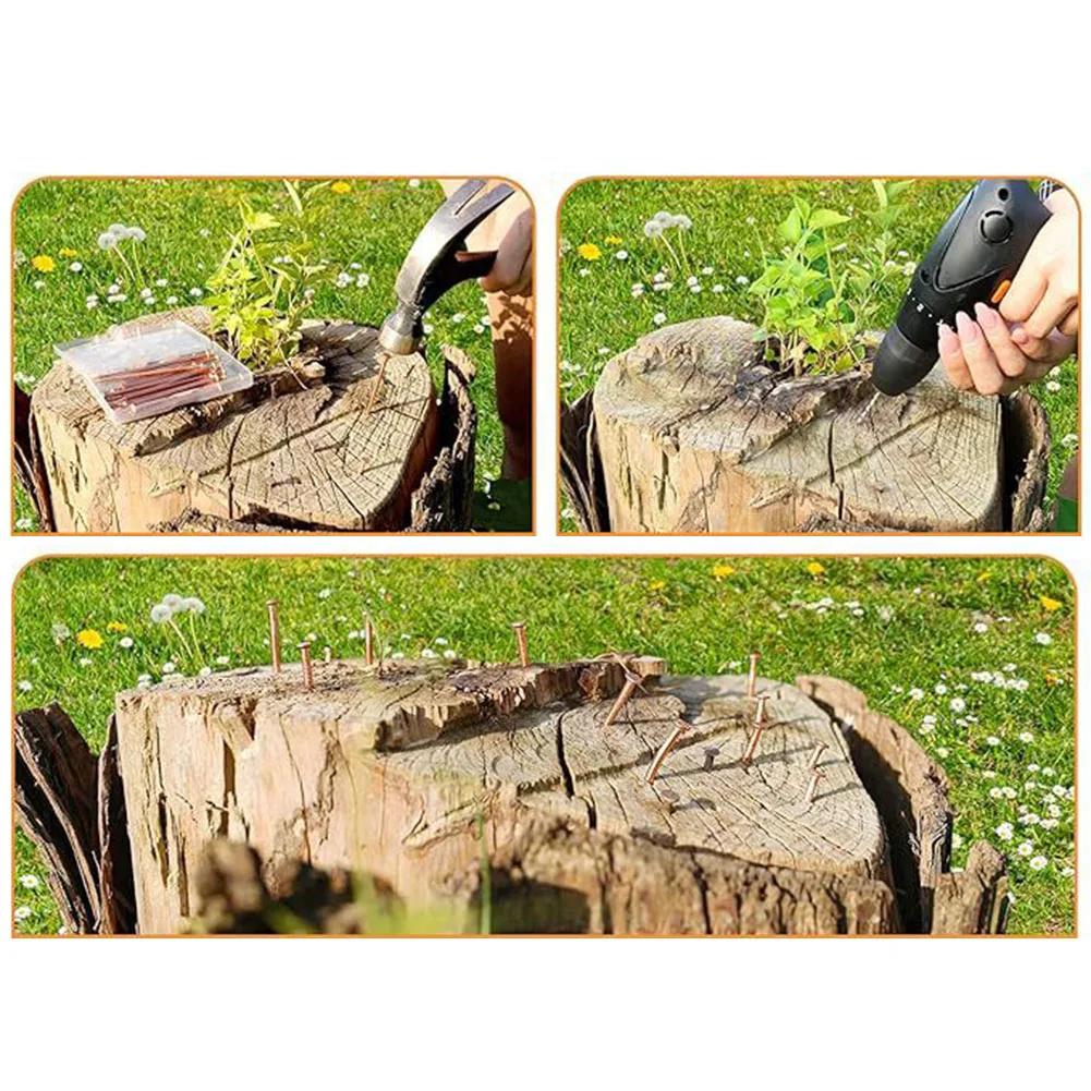 65/75mm Copper Nails For Killing Trees Stump Root Tree Stump Killer Removal Spikes Hardware Root Enduring