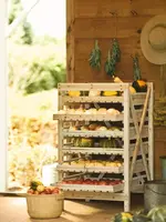 Company Orchard Garden Harvest Rack, Sturdy 6 Drawer Wooden Vegetable & Fruit Storage Cabinet Kitchen Organizer | For 1