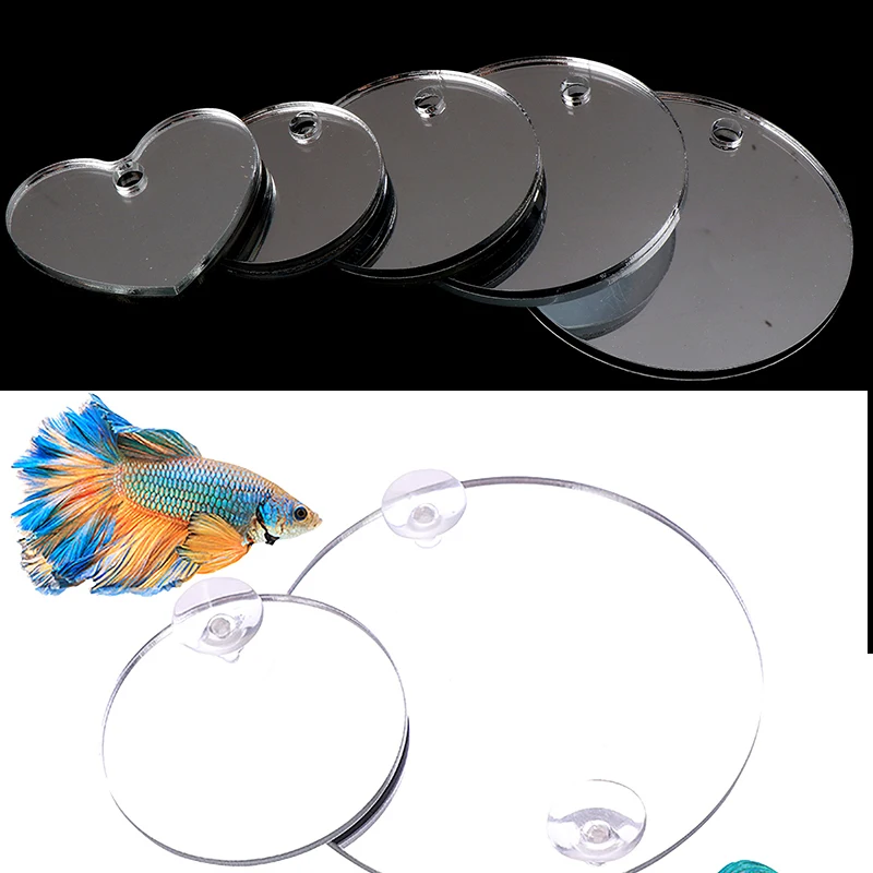 Acrilico Acquario Betta Specchio Acquario Galleggiante Specchio Rotondo Per Pesce Betta Flowerhorn Cichlid Training