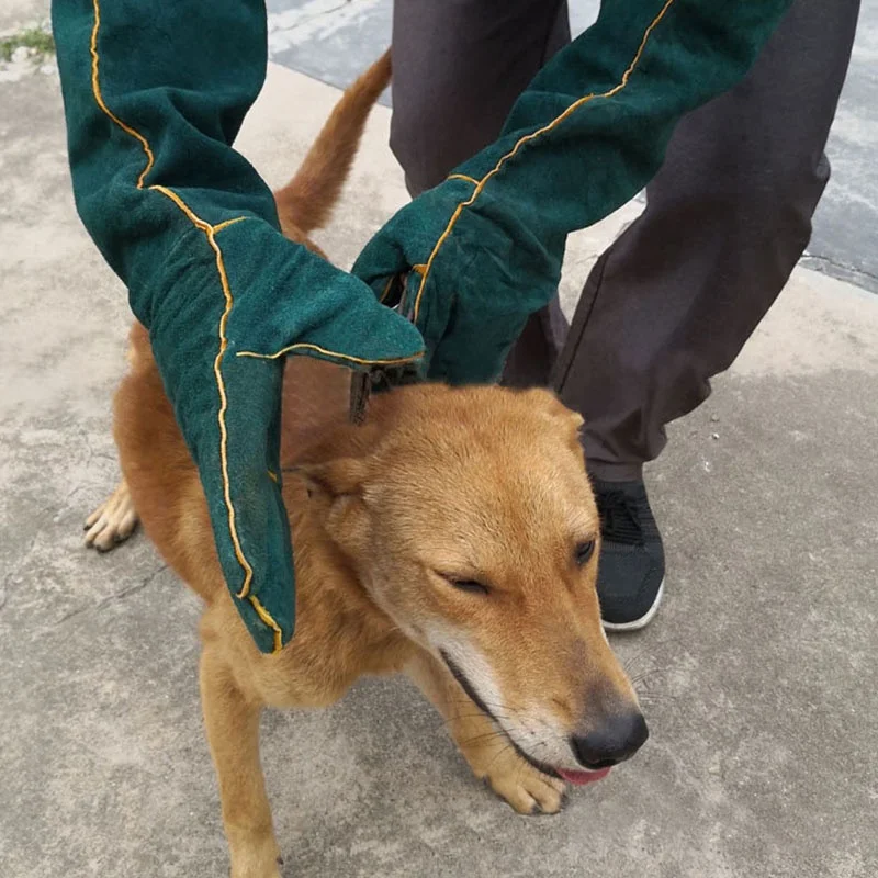 Gants de sécurité anti-morsures pour animaux de compagnie, ultra longs, protecteurs, anti-rayures, chiens, chats, oiseaux, salle, lézard, entraînement au bain