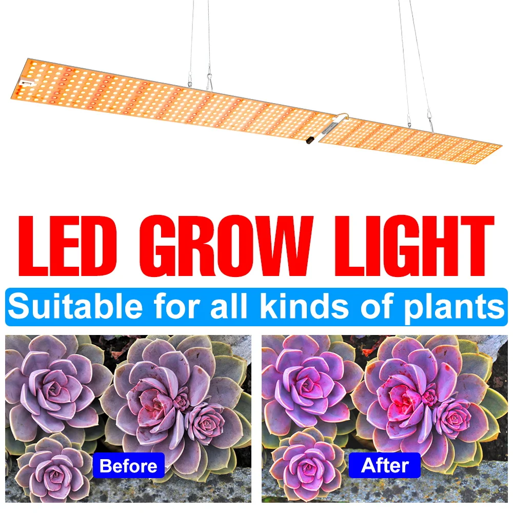 Hydroponic Lamp Phyto LED Light 220V Plant Grow Lamp Full Spectrum Fitolamp US UK EU AU Plug LED Phytolamps Greenhouse Grow Box