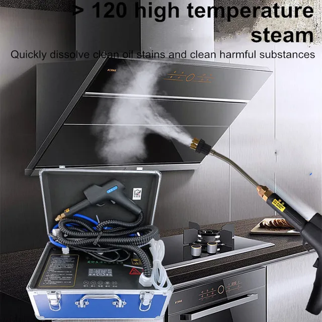 High Temperature Steam Cleaner Air Conditioner Cleaning Devices High Pressure Steam Generator Cleaning Machine Ozone Disinfector 3