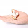 Polish chicken-3
