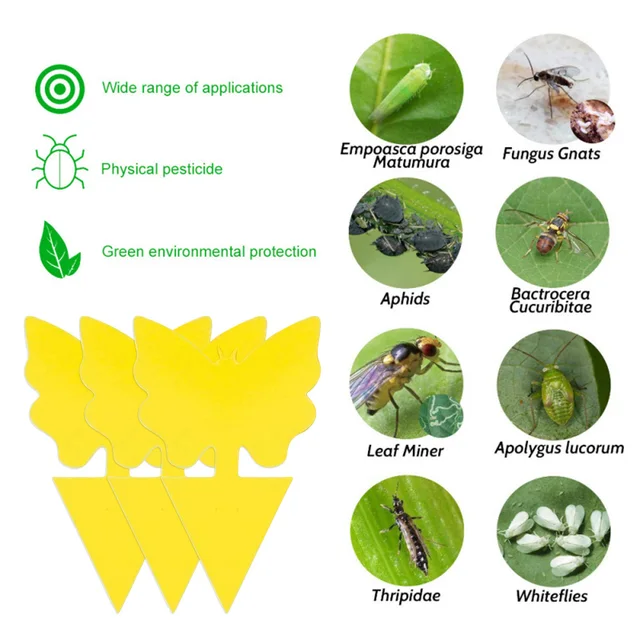 12/48Db Ragadós Csapdák Gyümölcsllyal Gnat Csapda Rovar Beltéri Kültéri Virág Edény Kártevőirtó Kert Erős Ragasztó Növény - Image 3