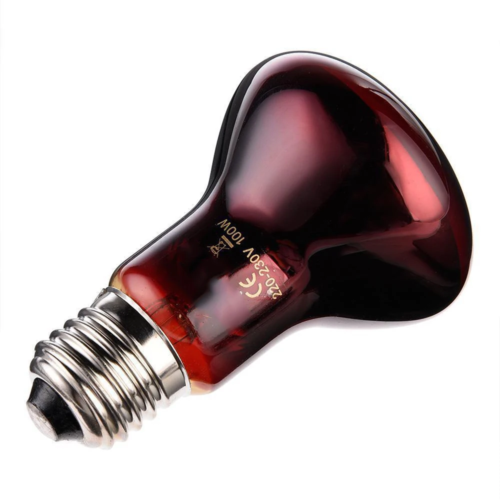 220V Heating Bulb Poultry & Reptile 6
