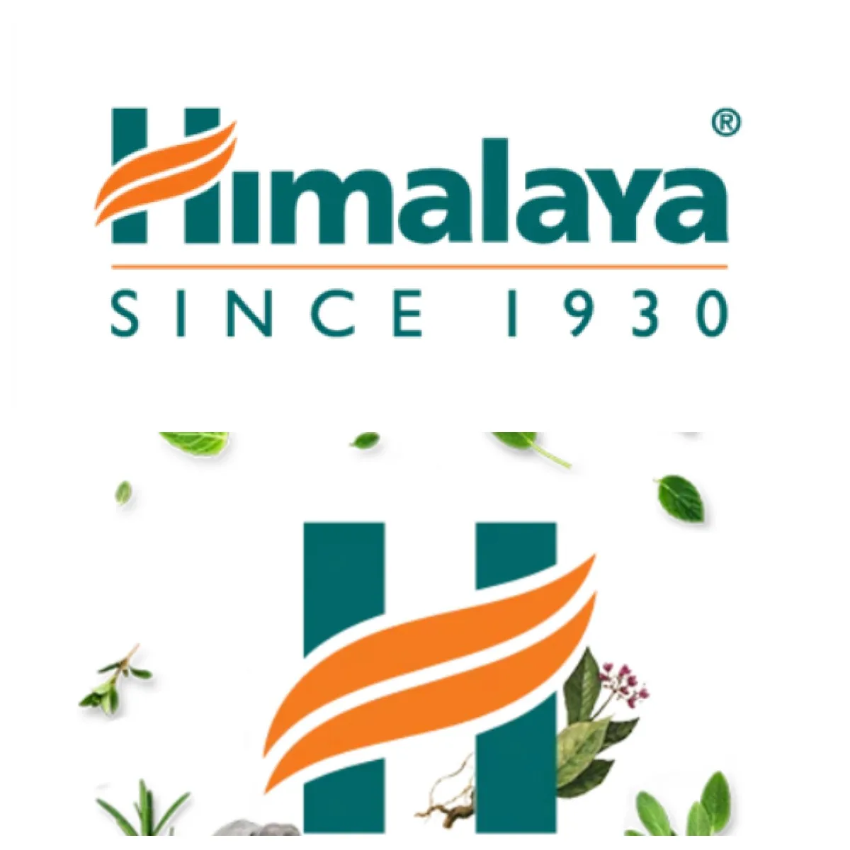 Costo Di Spedizione Himalaya Abana Speman Considon Liv.52 Diabecon Cystone