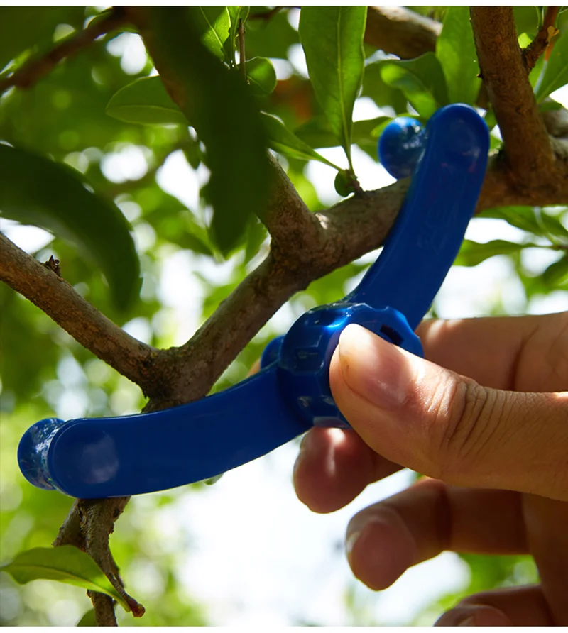 5/10/20Pcs Adjustable Plant Branch Bending Clamp, Twig Shaper, Reusable Bonsai Branch Bending Fixing Tools, Yard & Garden Decors